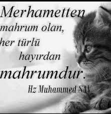 Elif Adli Kullanicinin Guzel Sozler Panosundaki Pin Ozlu Sozler Inanc Gercekler