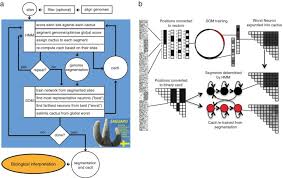 For example, you can measure the mileage in a straight line between two cities. Unsupervised Genome Wide Recognition Of Local Relationship Patterns Bmc Genomics Full Text