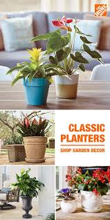 Martha stewart living vegetable and herb seeds are one hundred percent organic and $1.99 each at the home depot. Pin On Body