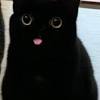 Entertaining instagram posts photos and videos picuki com. 3
