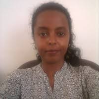 1300+ "Teklu" profiles