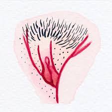 Fachärzte jahrelange erfahrung finanzierung möglich. Vulva Shaming Woher Kommt Die Abwertung Der Vagina