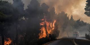 Aug 17, 2019 · φωτια στην ευβοια oλεσ οι ειδησεισ και τα τελευταια νεα για το tag φωτια στην ευβοια ελλαδα 30/08/2019 08:14 Treis Basikoi Ypoptoi Sto Mikroskopio Twn Arxwn Gia Thn Pyrkagia Sthn Eyboia Dasarxeio Com