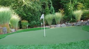 Image result for artificial lawn blog