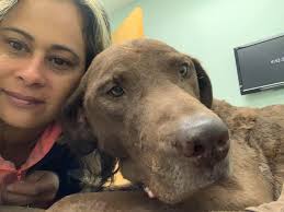 Six months with my adorable Kaida girl