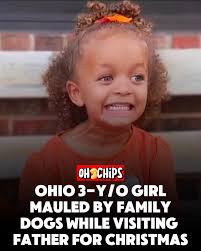 A three-year-old girl was killed in a vicious dog attack while visiting her  father's #Ohio apartment for #Christmas. The panicked father called  #Cincinnati police