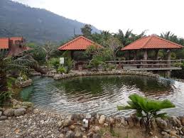 Rancanglah satu percutian, paling minima 3 hari 2 malam untuk hari keluarga ini. 13 Tempat Menarik Untuk Family Day Di Perak Ammboi