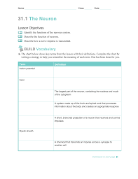 31 1 the neuron the neuron