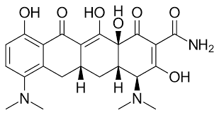 Minocycline Wikipedia