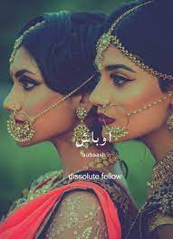 Pin By Adhorikahani24 On Language Skills Language Urdu Urdu Words With Meaning Poetry Words