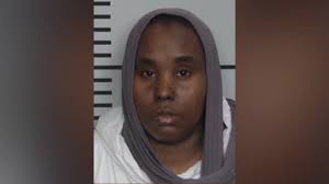 'Let me finish her': Mother accused of repeatedly hitting young child with  hammer