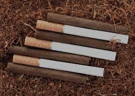 Notre héroïne (constance) vient d'être présentée au général avec qui elle va travailler et «le général a longuement considéré constance de la tête aux pieds, avec un bref détour par son cigarillo». Blog Cigarillos Et Cigarettes Quelles Differences