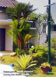Ada banyak lagi jenis pokok bunga yang sesuai ditanam di halaman rumah seperti bunga tahi ayam, lavender, pokok bunga kapas, bunga kosmos, orkid, dan pelbagai lagi. Memilih Pohon Untuk Halaman Rumah