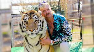 Hd wallpapers and background images Finished Tiger King Here S What S Coming Next In The Joe Exotic Saga Gq India