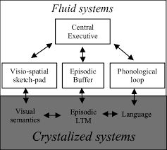 Working Memory And Language Model Following Alan Baddeley 2003 Download Scientific Diagram