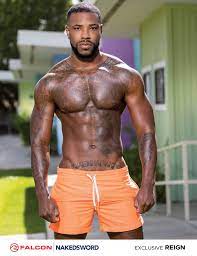 Reign gay porn star ❤️ Best adult photos at gayporn.id