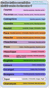 Naturel Et Non Toxique Le Spray Fait Maison Que Tous Les Insectes Detestent Trucs Et Astuces Astuces Produit Entretien Maison