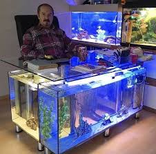 You will find information, photos and videos about the. This Office Desk Made Out Of Fish Tanks Http Bit Ly 2ekgcdr Aquarium Amazing Aquariums Cool Fish Tanks
