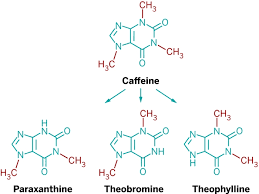 Caffeine Jitters February 4 2013 Issue Vol 91 Issue 5