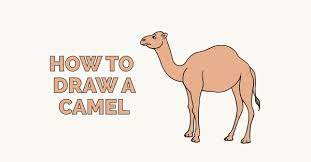 How to draw a camel for kids in easy steps. How To Draw A Camel Step By Step Easy Animal Drawing