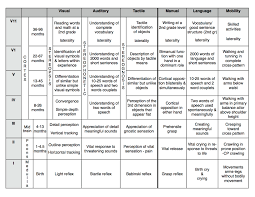 cognitive neurological and brain development 0 1 years 7