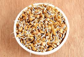 We did not find results for: 17 Surprising Health Benefits Of Horse Gram Kulthi