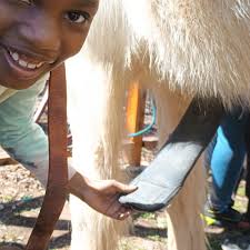 TOP 10 BEST Things to Do near Ravenden, AR 72459