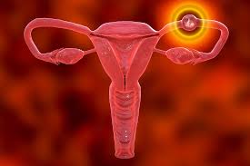Ectopic pregnancy ultrasound and surgery at Irys Medical Center