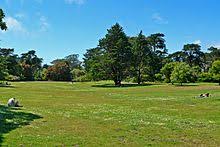 A plot of grass, usually tended or mowed, as one around a residence or in a park. Lawn Wikipedia