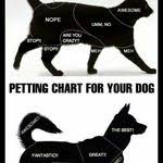 3484 shelby ray court charleston, sc 29414. Veterinary Specialty Care Mount Pleasant North Charleston Vetspecialty Profile Pinterest