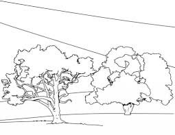 Free Printable Tree Coloring Pages For Kids In 2020 Tree Coloring Page Monster Coloring Pages Coloring Pages