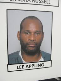 DA: Farmingville Woman Arraigned in Heroin-Prostitution Ring