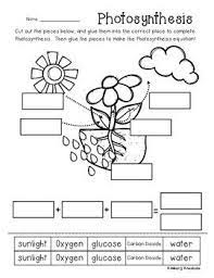 #photosynthesistopic covered:• what is photosynthesis?• how do green plants make their own food?• Photosynthesis Poster Classroom Display And Worksheet Photosynthesis Worksheet Photosynthesis Science Worksheets