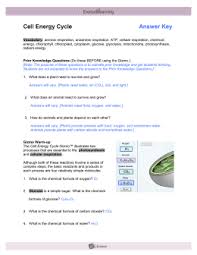 Explorelearning circuits gizmo answer key the dichotomous key gizmo is also a useful tool for helping younger students identify key characteristics. Cell Energy Cycle Gizmo Answer Key Activity B Half Life Gizmo Answer Key Activity B Half Life Gizmo Answer Key Activity B