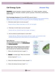 Cell division gizmo answer key page 3 / student exploration half life gizmo answer key activity b. Cell Energy Cycle Gizmo Answer Key Activity B Half Life Gizmo Answer Key Activity B Half Life Gizmo Answer Key Activity B