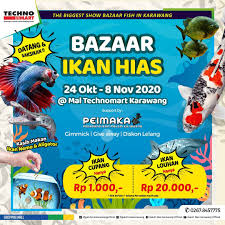 Para pecinta ikan hias pasti sudah pernah tahu ikan arwana bukan. Halo Ikan Hias Lovers Galuh Mas Karawang Official Facebook