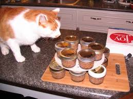 Homemade Canned Cat Food Organic Cat Food Canned Cat Food Diy Cat Food