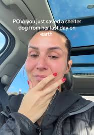 Finding Berry a Forever Home: My Foster Journey