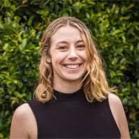 80+ "Schepis" profiles