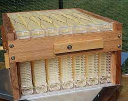 Diy Beehive Plans Langstroth 10 Frame Beekeeping Diy Bee Etsy Flow Hive Plans Flow Hive Bee Hive Plans