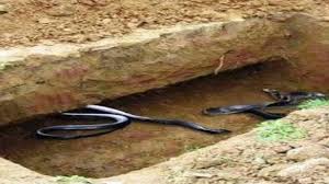 لبس الشخص الميت في المنام ملابس خضراء دليل على وفرة المال والرزق الحلال كما يدل في منام الفتاة العزباء على المكانة المرموقة في العمل والحصول على كل ما ترغب فيه من اماني واحلام بعيدة والملابس الزرقاء في المنام على شخص ميت فرج. ØªÙØ³ÙŠØ± Ø­Ù„Ù… Ø§Ù„Ù…ÙŠØª Ø¨Ù…Ù„Ø§Ø¨Ø³ Ù‚Ø¯ÙŠÙ…Ø© ÙÙŠ Ø§Ù„Ù…Ù†Ø§Ù…