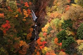 紅葉の美しさを表現する言葉6選 名木紅葉や谿紅葉を愛でる秋 言葉の庭