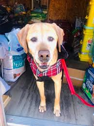 Goood morning everyone from Merlin