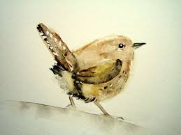 Meine Kleinen Vogel Sind Standige Besucher In Meinem Garten Der Kleine Zaunkonig Hat Sogar Sein Nest In Meiner Heck Kleine Vogel Aquarellbilder Vogel Zeichnen