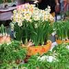 See more ideas about lunar new, newyear, chinese new year. 1