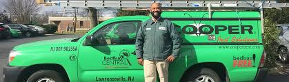 Viking termite and pest control. Cooper Pest Solutions Linkedin