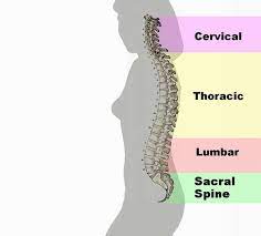 Florida spinecare center offers comprehensive diagnosis and treatment of disorders of the spine. Back Pain Treatment Spinal Decompression Orange County Center South County Spine Care Center