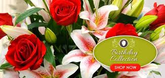 131 n porter ave, norman, ok 73071, usa. Midwest City Florist Custom Flower Arrangements Same Day Flower Delivery Davids Flowers
