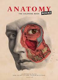 Other ways to learn anatomy. Pdf Anatomy Coloring Book Free Download Grazelya Books10