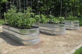 Galvanized Stock Tank Vegetable Planters Modern Garden Stock Tank